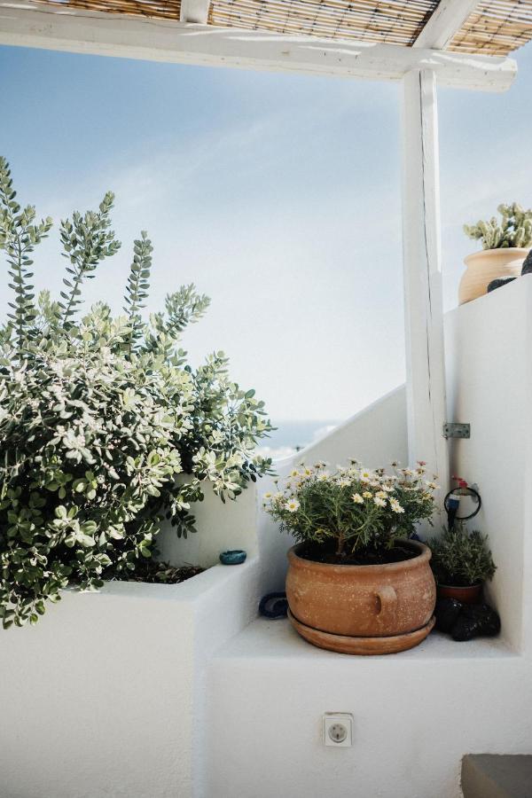 Villa Kalyva Cycladic House - Oia  Extérieur photo